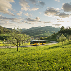 Gratis mit Zug und Postauto in die Schweizer Pärke!