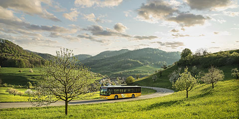 Gratis mit Zug und Postauto in die Schweizer Pärke!